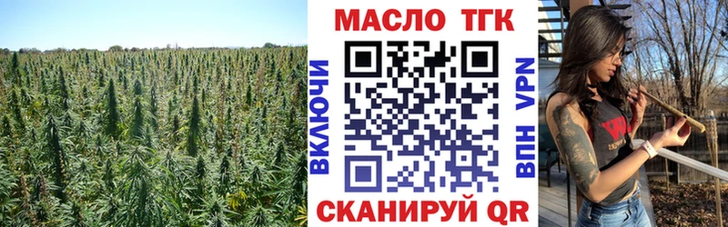 Купить  Чекалин  Дистиллят ТГК THC oil 